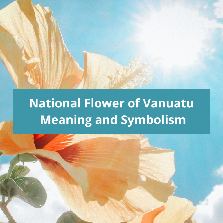 What is the national flower of Uzbekistan, Meaning and Symbolism