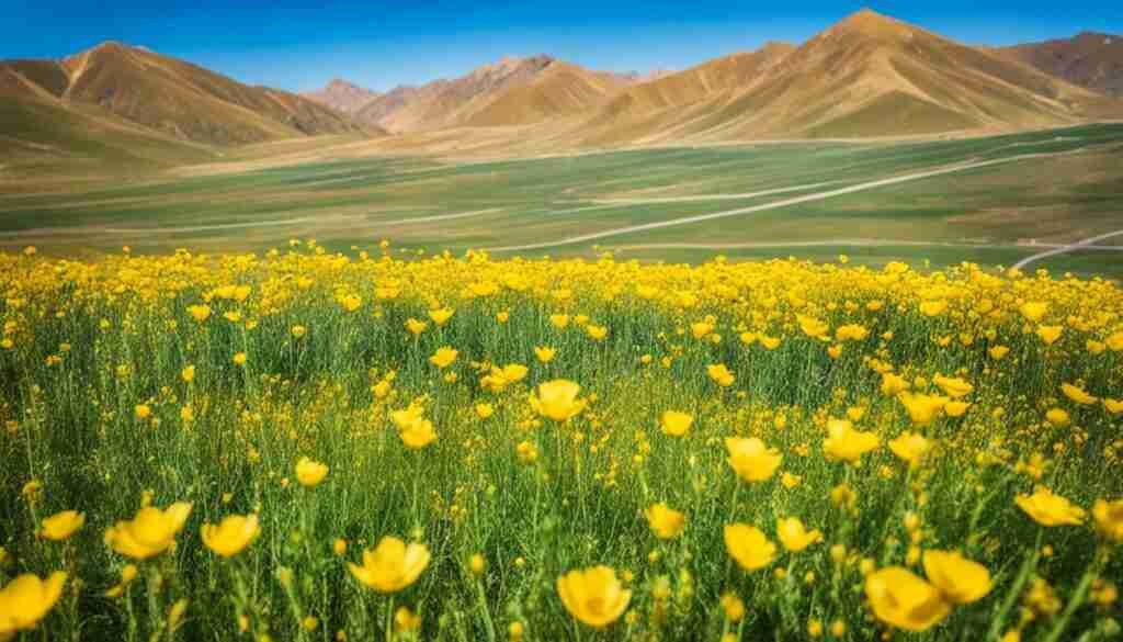 Yellow Flowers in Kazakhstan