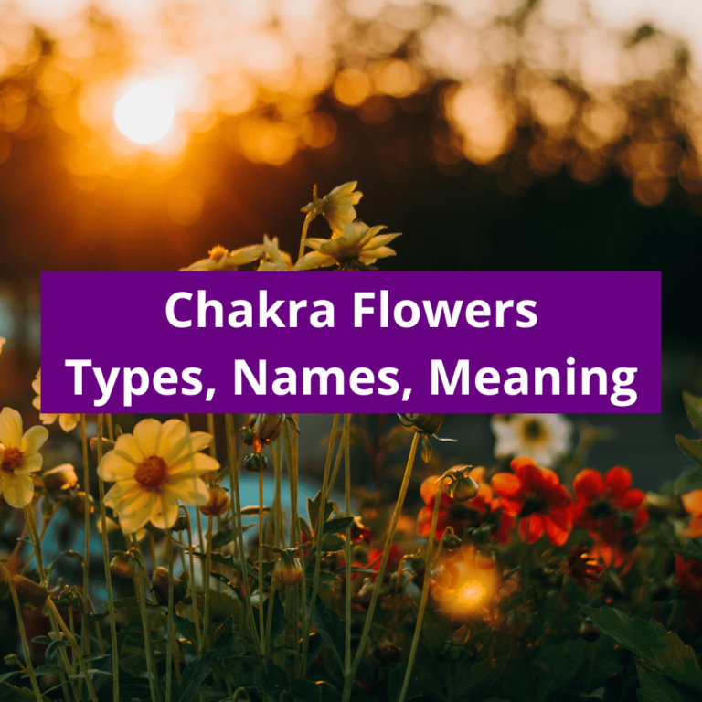 Symbolic Meanings symbolic-meanings